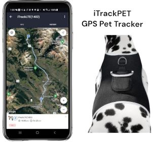 GSM GPRS Waterproof Pet Tracker Wireless Tracking- iPhone Compatible Size:L